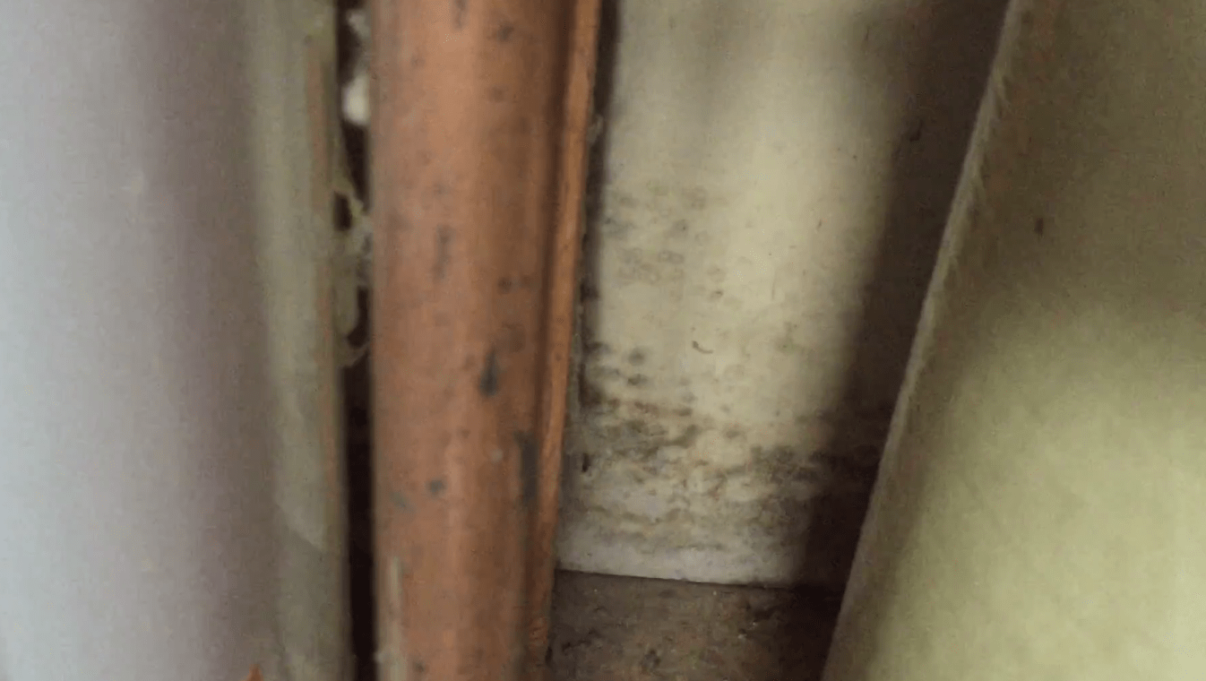 how to get rid of black mold on rubber