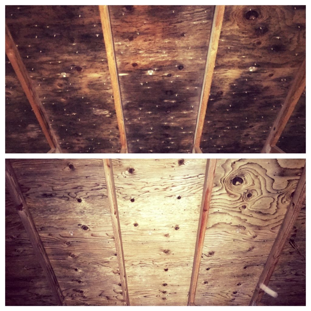 Home Mold Removal Illinois & Northwest Indiana