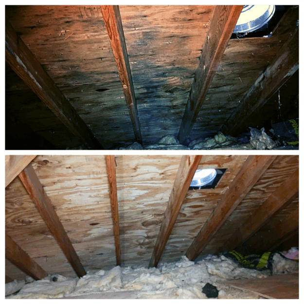 Attic Mold BEFORE & AFTER ATTIC MOLD BEFORE AND AFTER