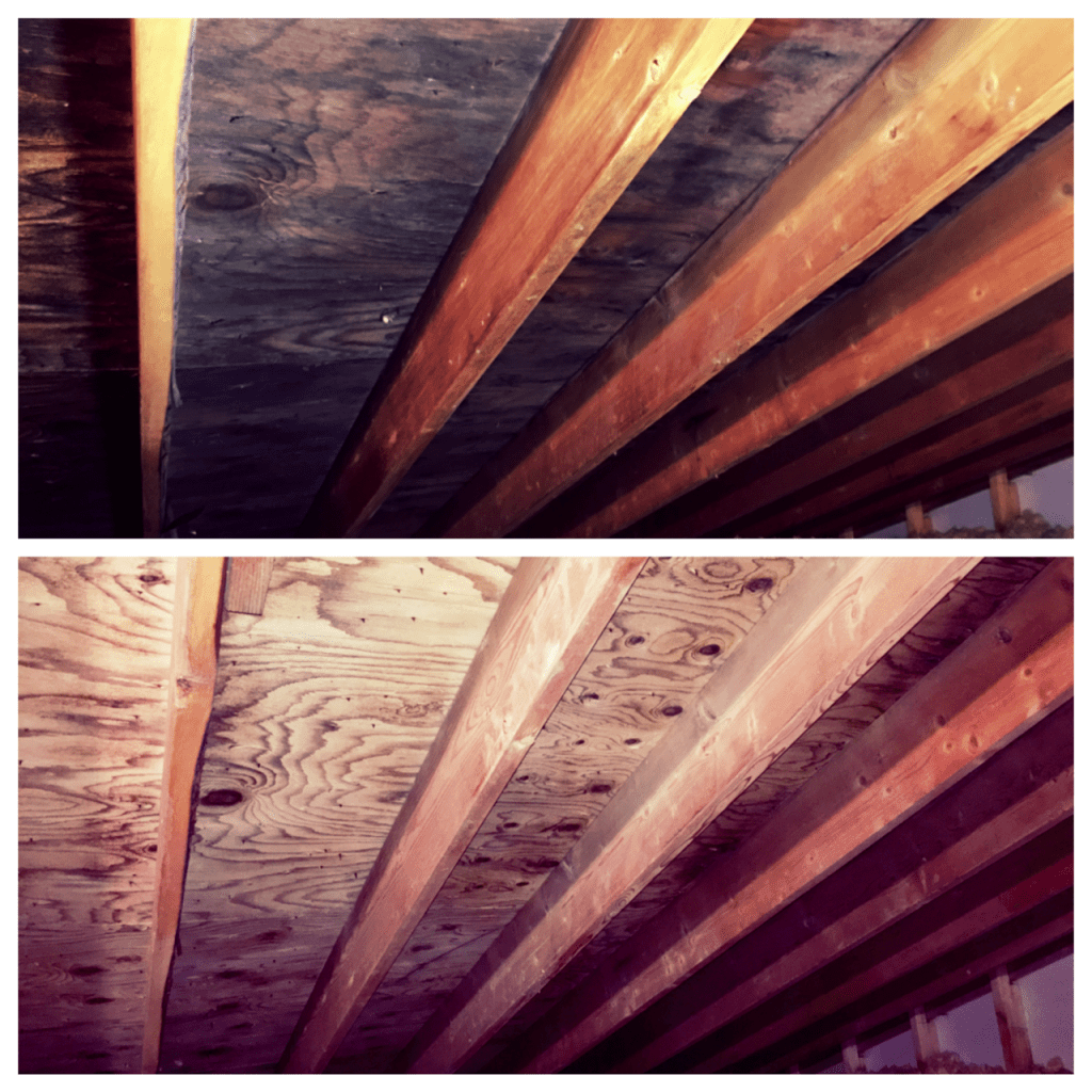 BEFORE & AFTER ATTIC MOLD BEFORE AND AFTER