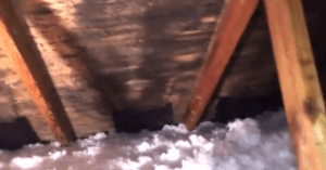 attic mold and ventilation problems