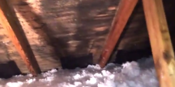attic mold and ventilation problems