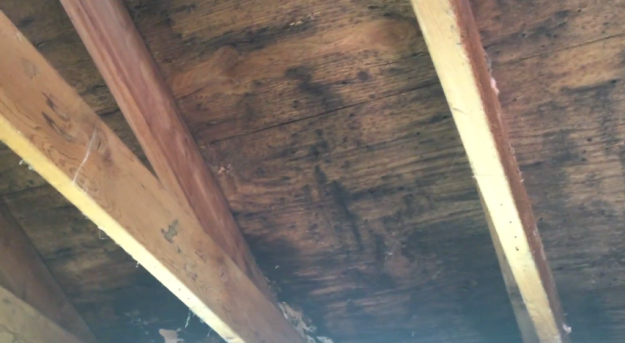 attic mold remediation st charles il