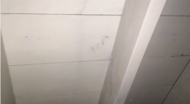 attic mold removal new lennox il