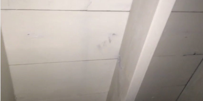 attic mold removal new lennox il