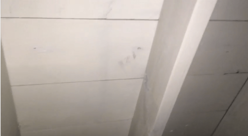 attic mold removal new lennox il