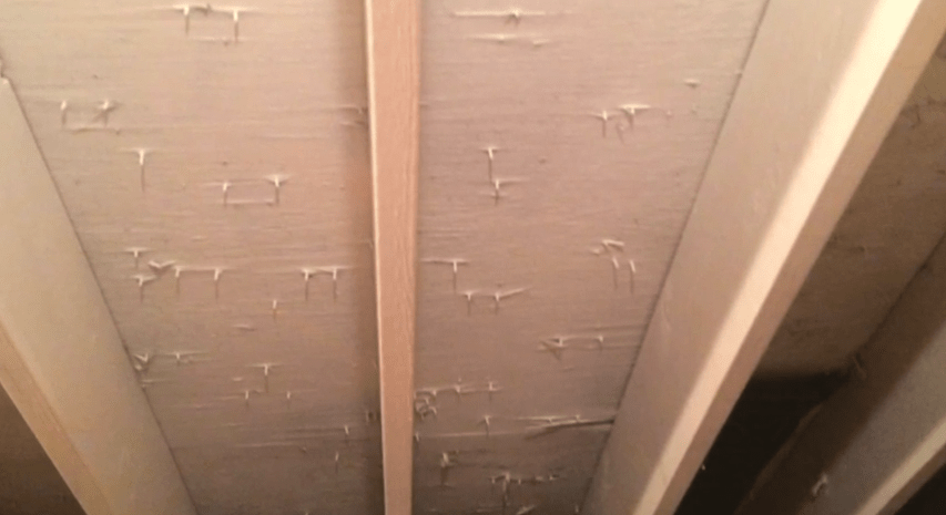 attic mold crestwood il