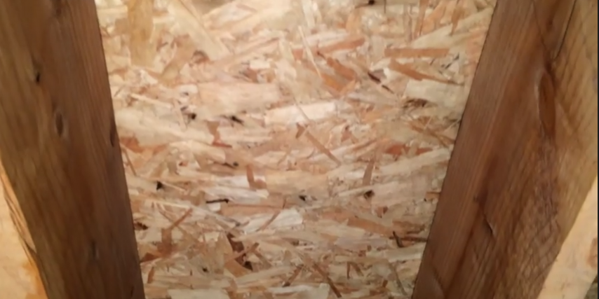 mold testing itasca il