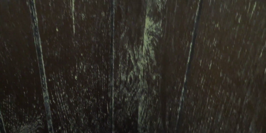 mold inspection services Burbank il