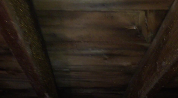 mold hanover park il