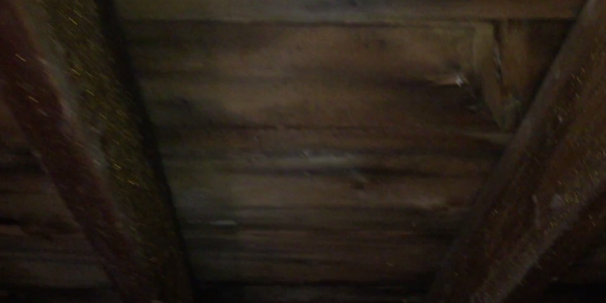 mold hanover park il