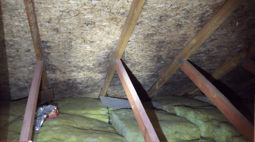 mold remediation services