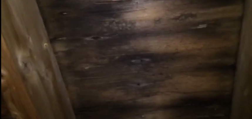 mold problems attic
