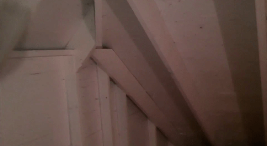 no more mold problems