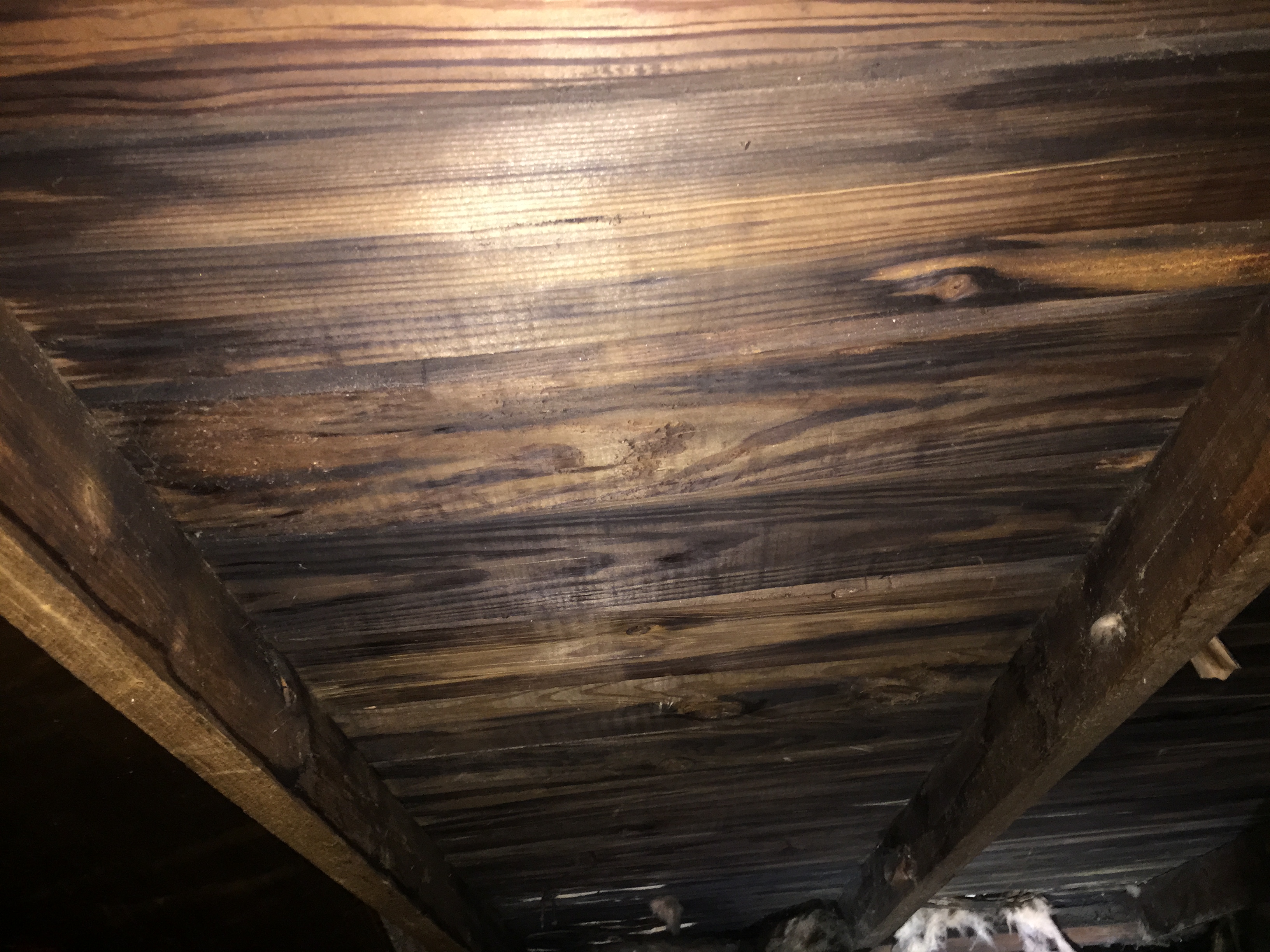 mold on wood