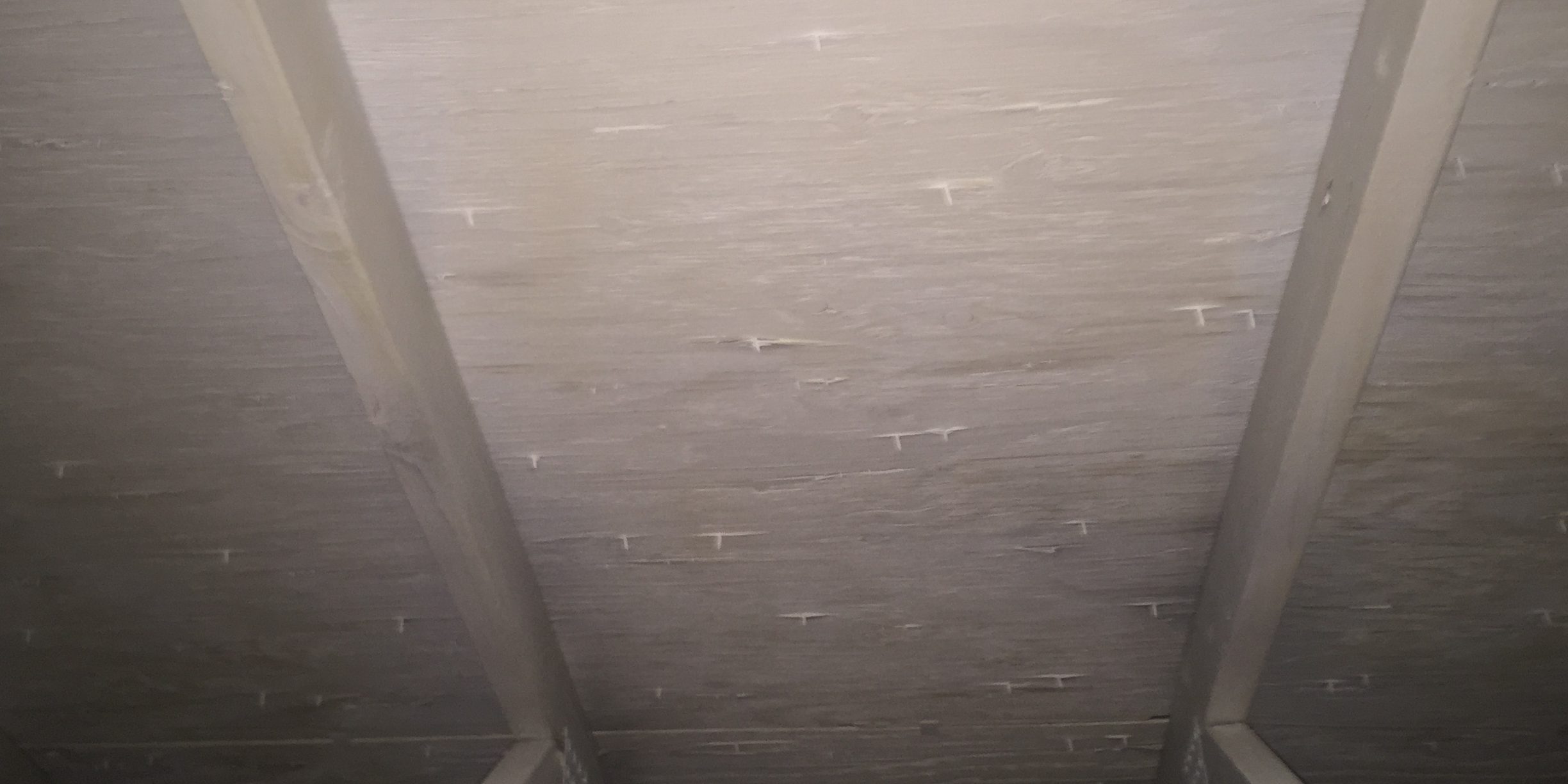 Mold Found In The Attic Oswego IL Mold Removal Illinois & Northwest