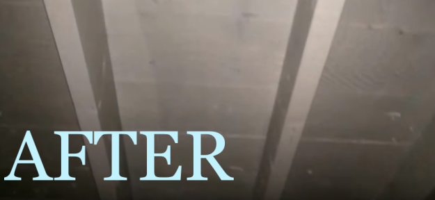 winter mold problems