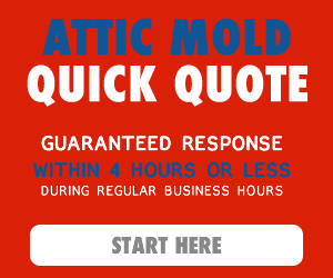 quick quote button image