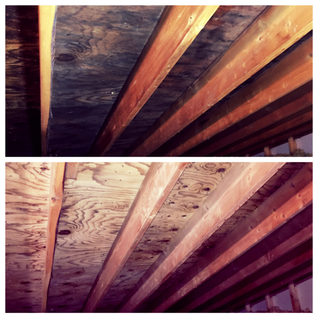 Attic Mold Remediaiton