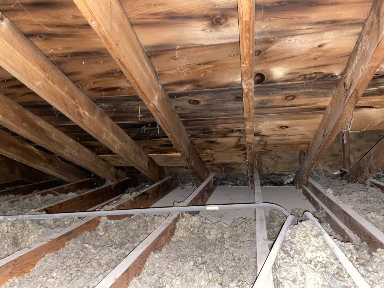 Attic Mold Addison Stemming From Poor Insulation