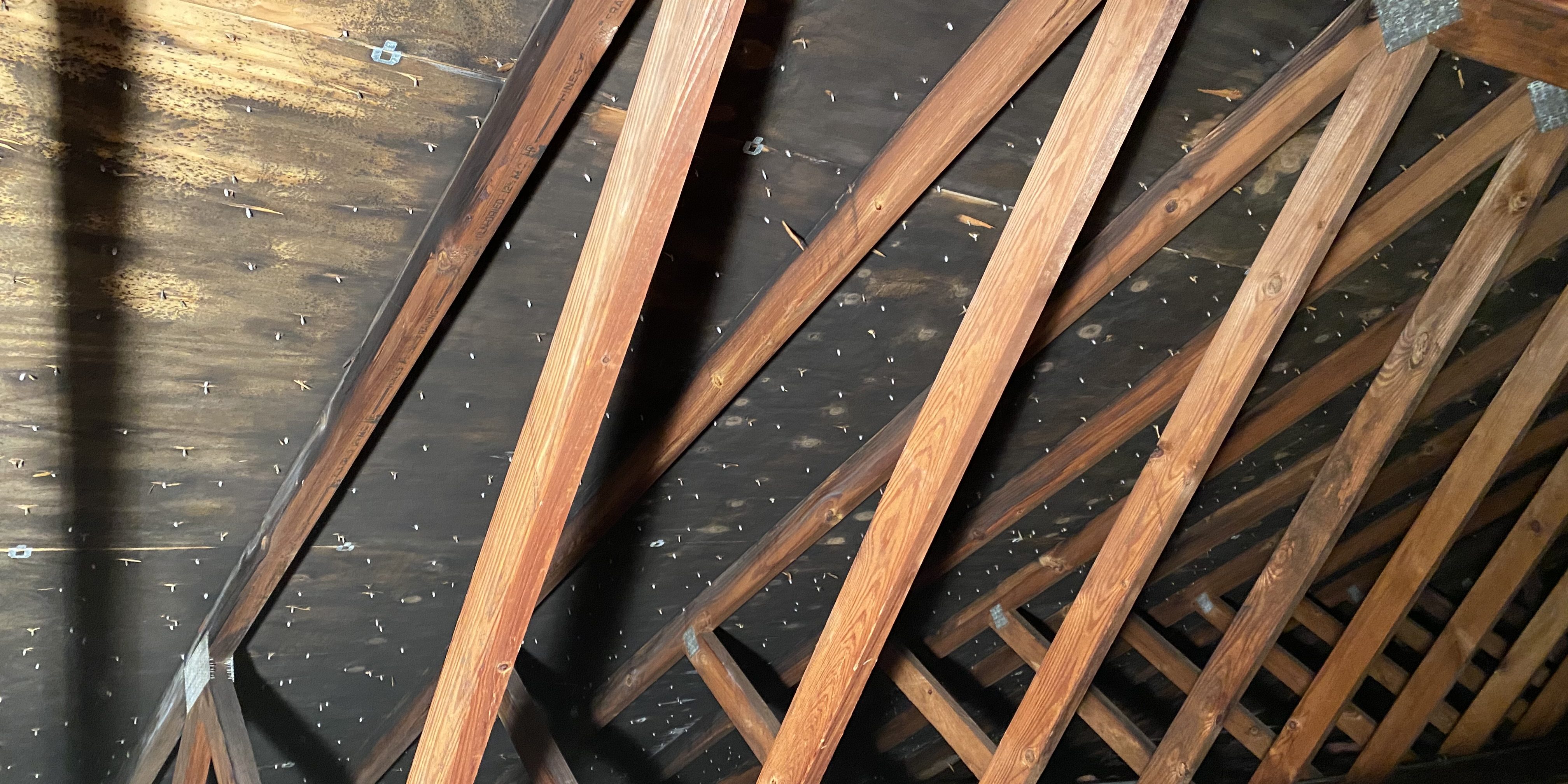 Attic Mold Addison Stemming From Poor Insulation