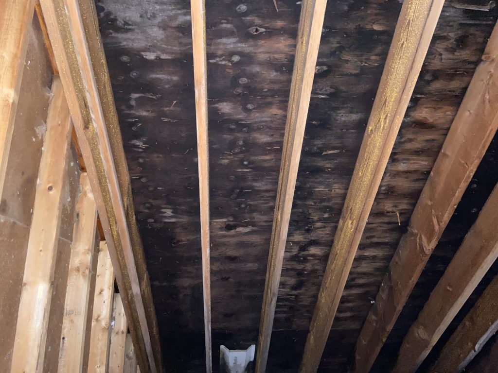 Home mold removal illinois northwest indiana