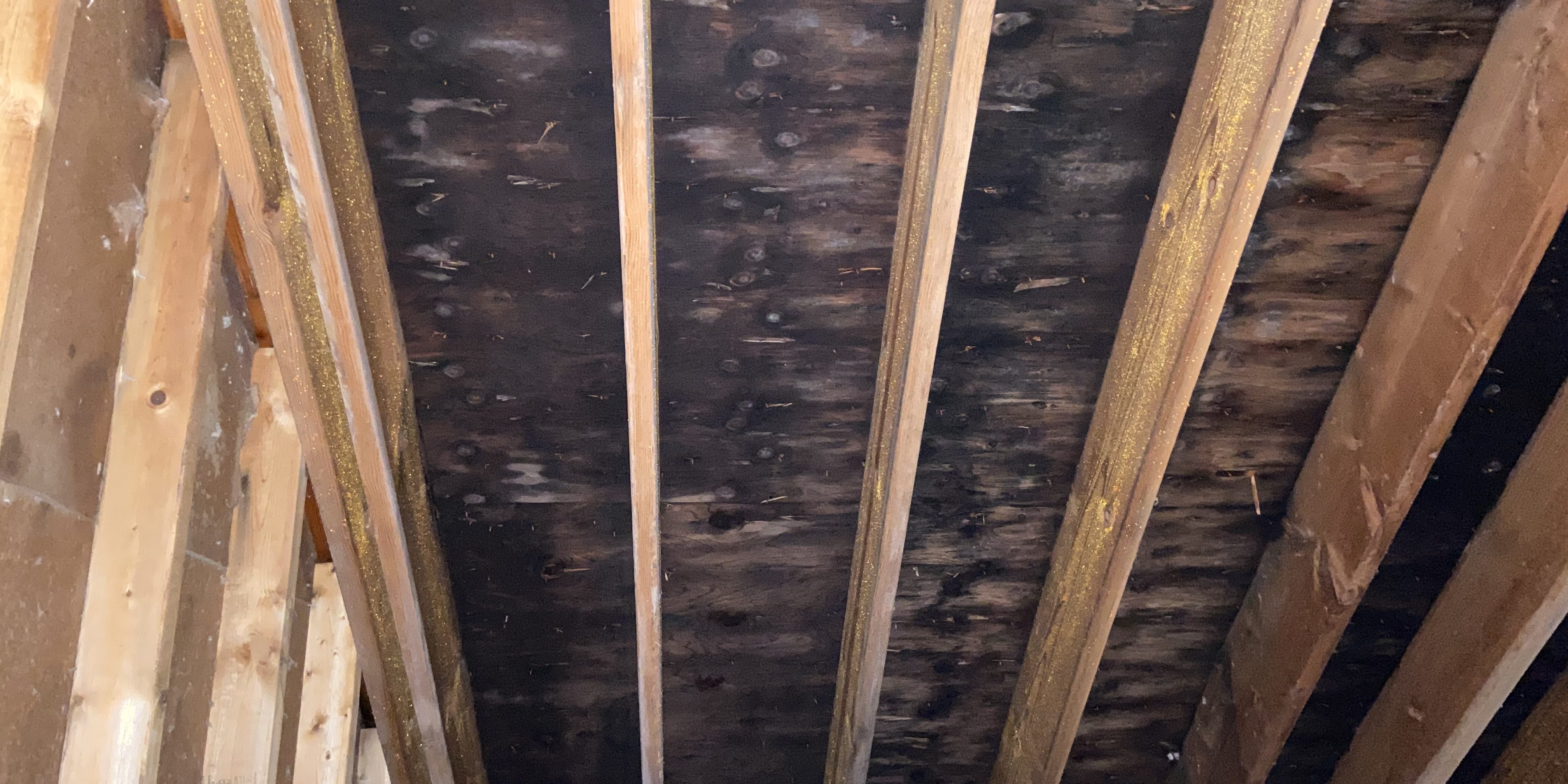 Black Mold In Attic Pictures Image Balcony and Attic