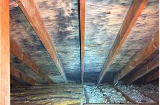 Attic Mold Naperville