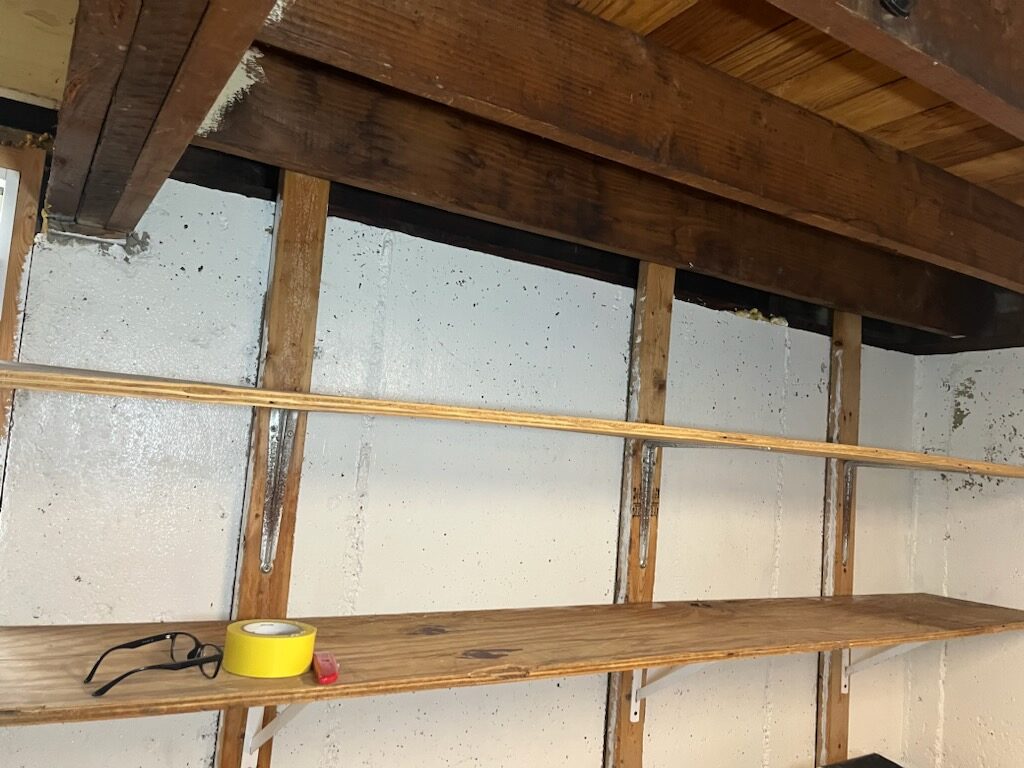Basement Walls After Mold Remediation in Munster, IN